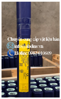 Que hàn tig T-309L